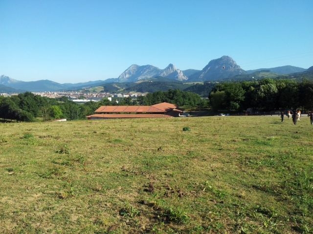  Green landscape for horse routes 